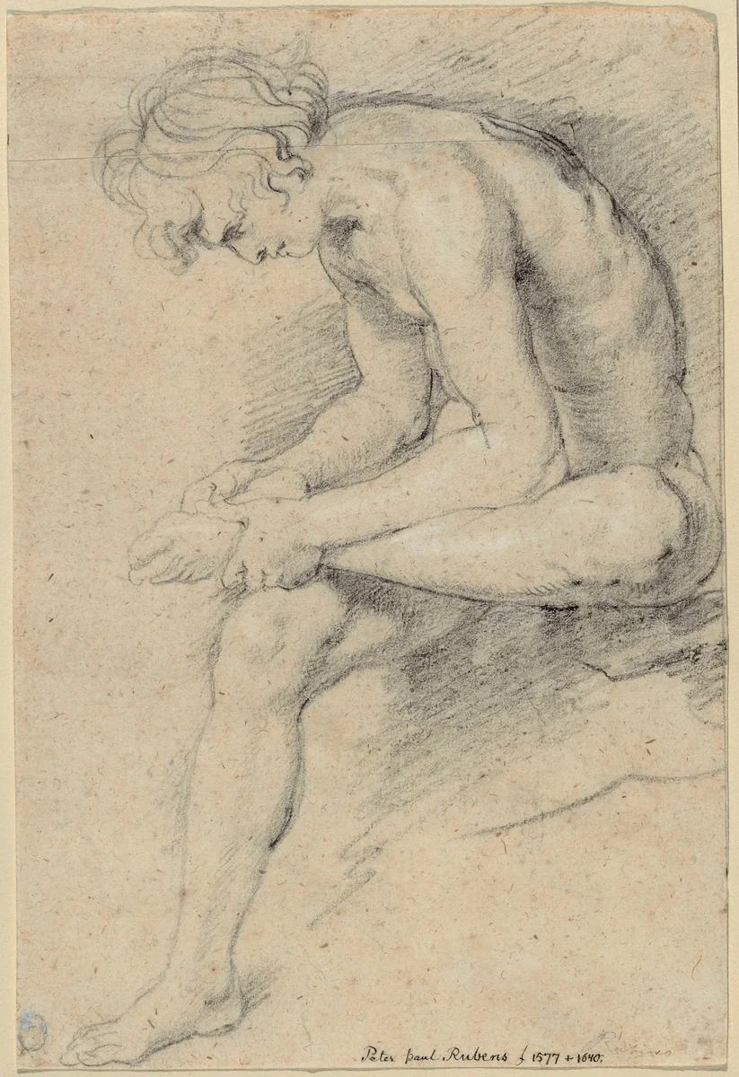 Nude Youth in the Pose of the Spinario by Peter Paul Rubens, drawing, 1610-1616