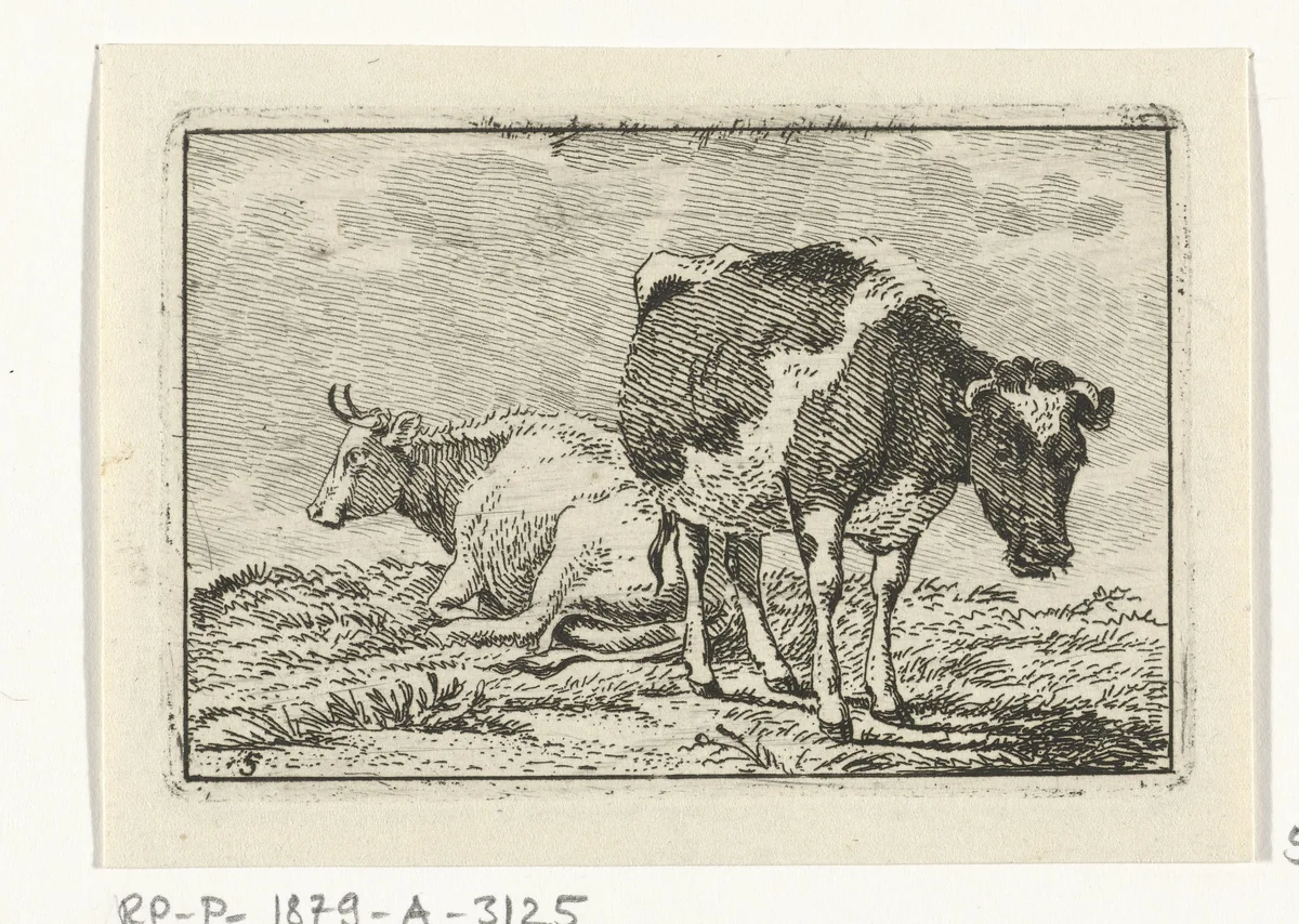 Witte en gevlekte koe by Anthony Oberman, print, 1796-1845