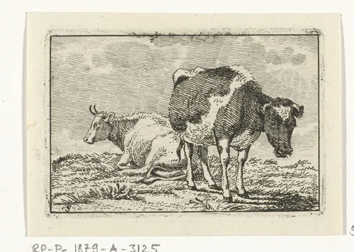 Witte en gevlekte koe by Anthony Oberman, print, 1796-1845