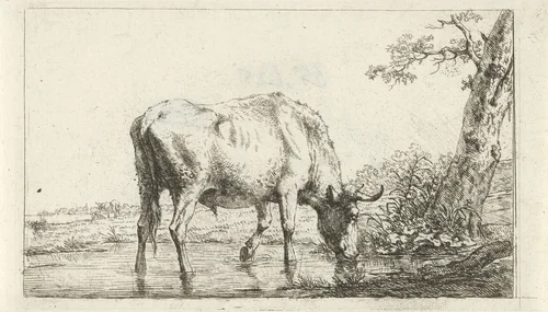 Drinkende stier by Jan Kobell, print, 1788-1814
