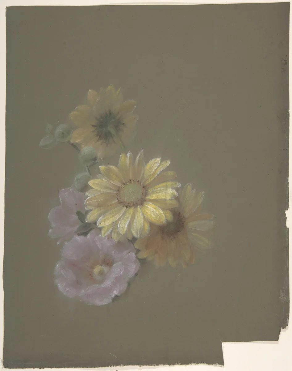 Yellow Daisies and Pink Wild Rose by Antoine Berjon, drawing, 1770-1843