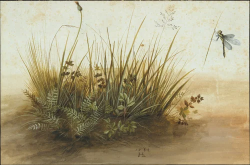 A Small Piece of Turf by Hans Hoffmann, drawing, 1584