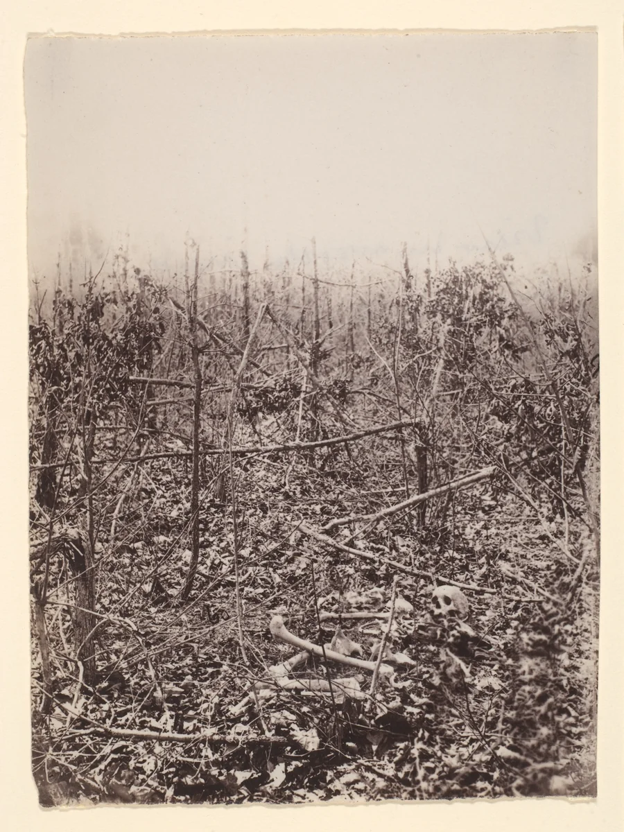 [The Wilderness Battlefield] by G. O. Brown, photograph, 1866