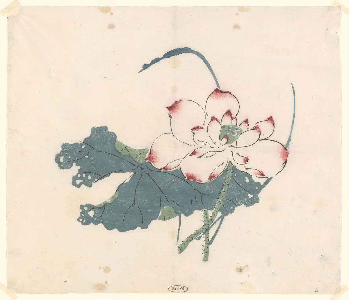 Lotus by anonymous, print, 1600-1625