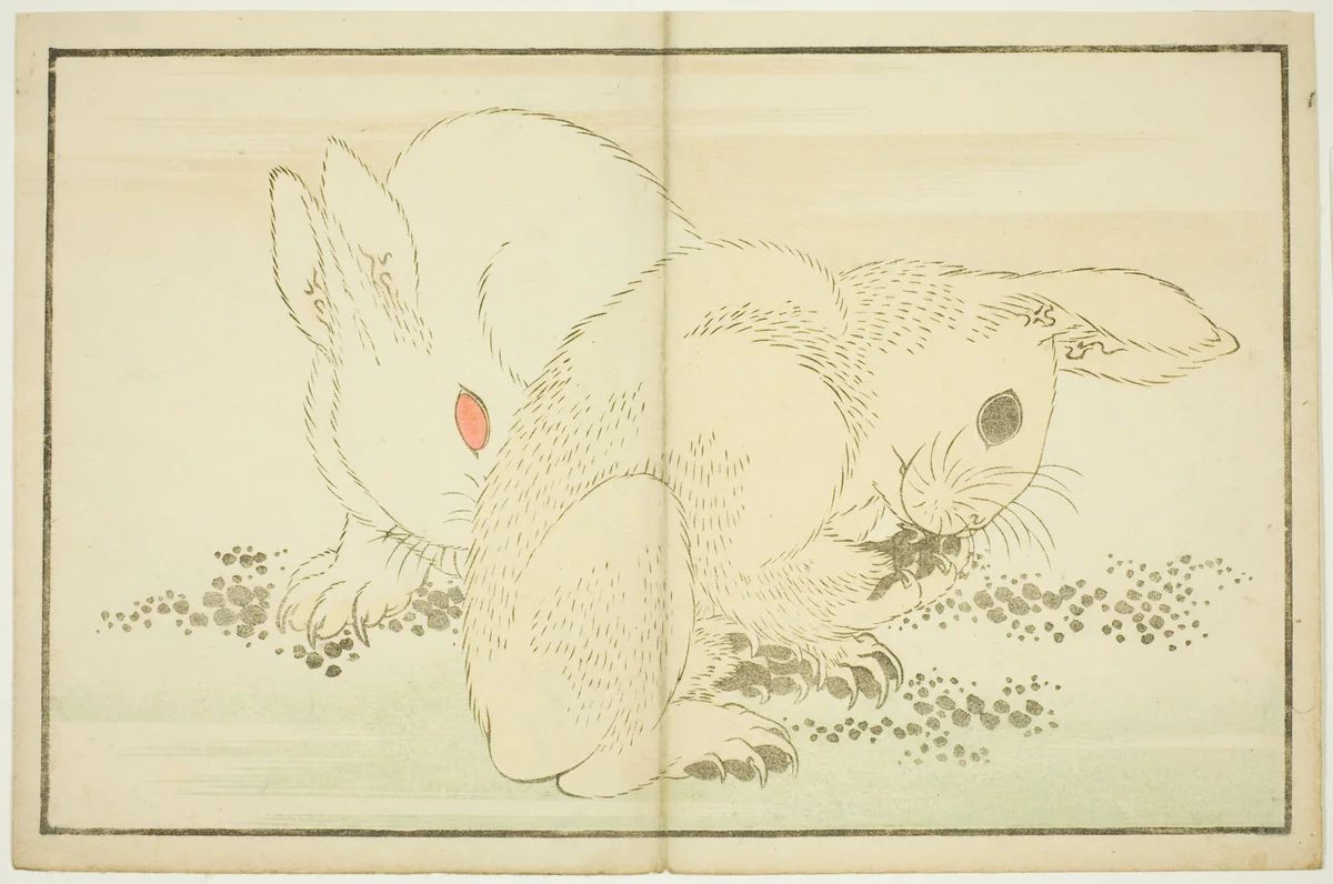 Two Rabbits, from The Picture Book of Realistic Paintings of Hokusai (Hokusai shashin gafu) by Katsushika Hokusai (葛飾 北斎), print, 1809-1819