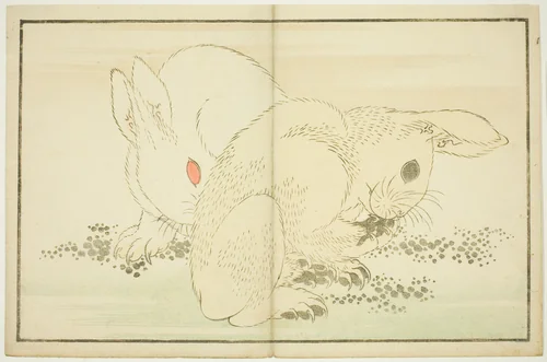 Two Rabbits, from The Picture Book of Realistic Paintings of Hokusai (Hokusai shashin gafu) by Katsushika Hokusai (葛飾 北斎), print, 1809-1819