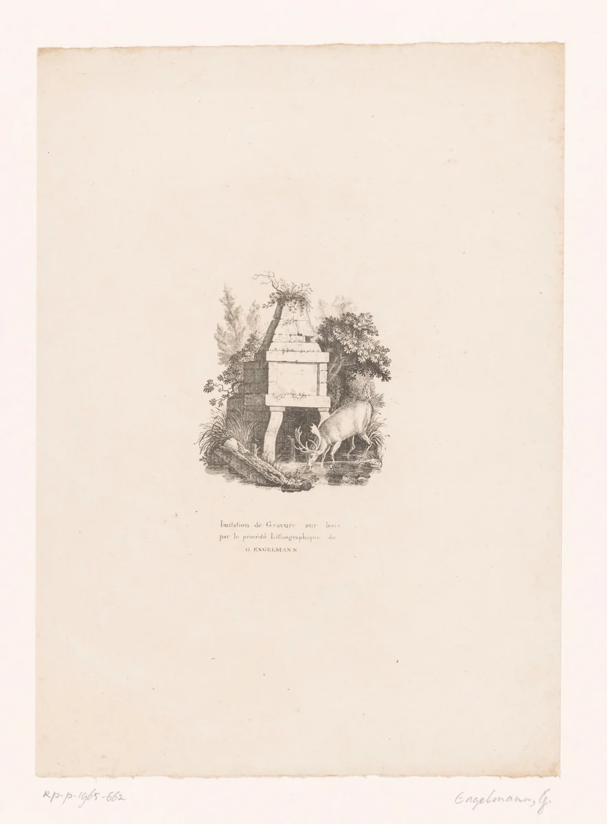 Drinkend hert by anonymous, print, 1816