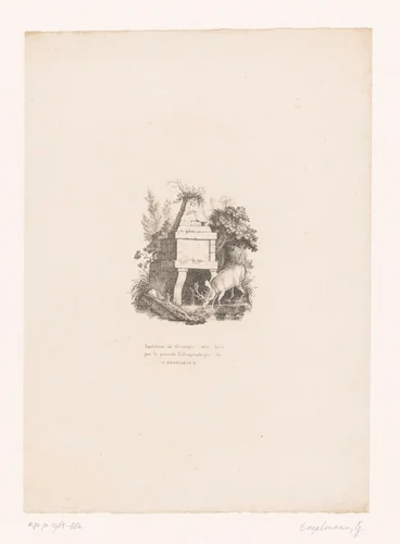 Drinkend hert by anonymous, print, 1816