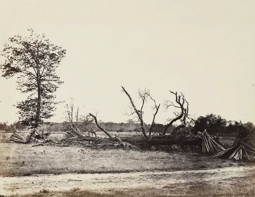 Extreme line of Confederate works, Cold Harbor, Virginia by Alexander Gardner, photograph, 1865