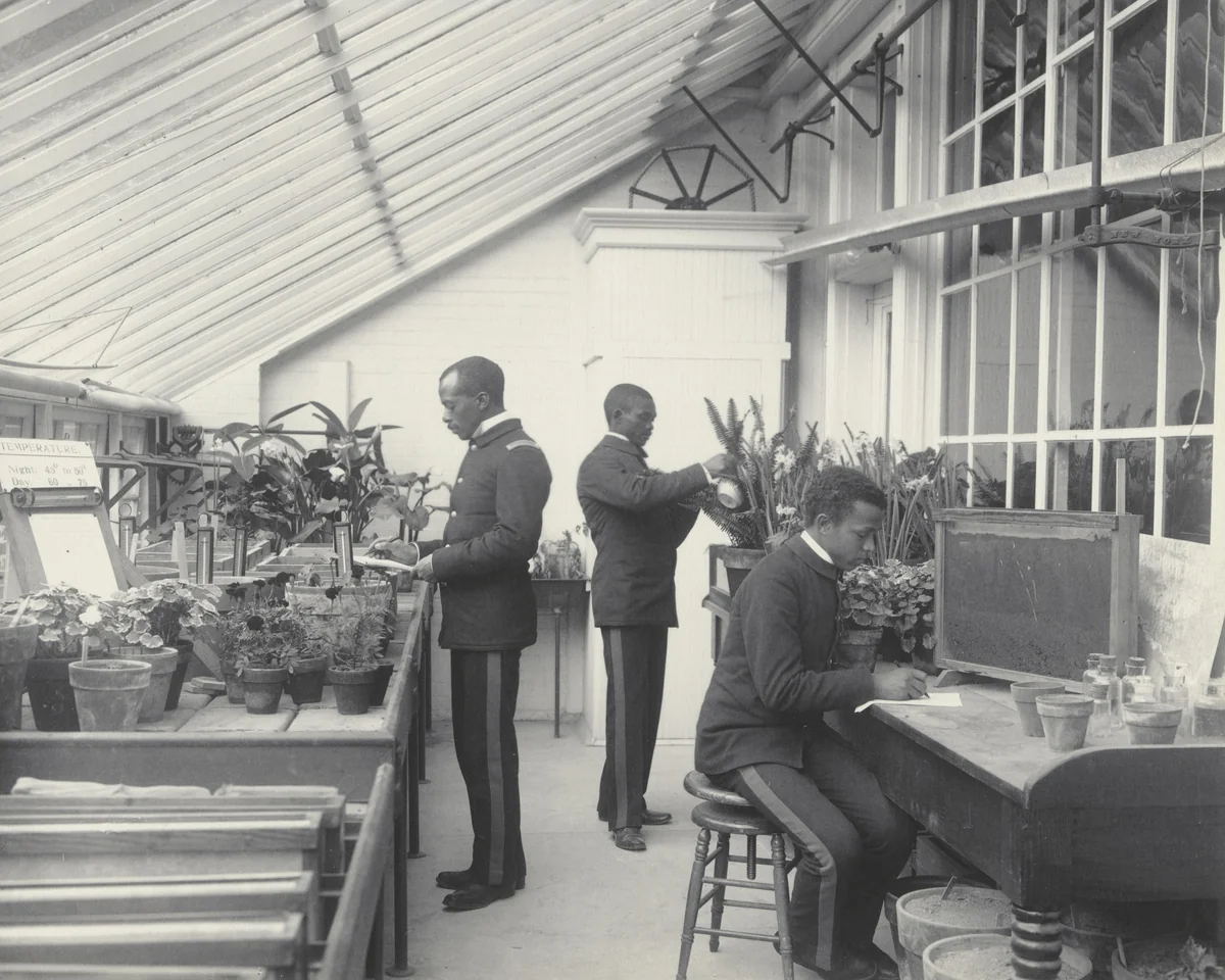 Agriculture - Plant life. Experiments with plants and soil by Frances Benjamin Johnston, photograph, 1899