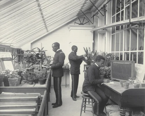 Agriculture - Plant life. Experiments with plants and soil by Frances Benjamin Johnston, photograph, 1899