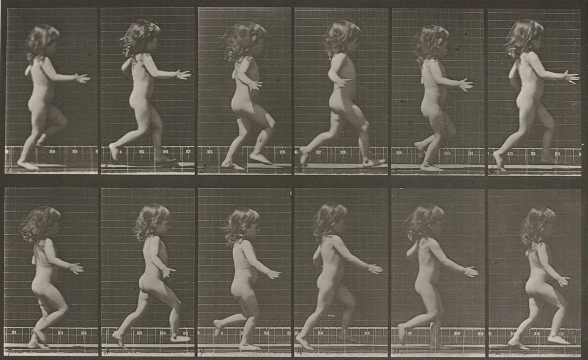 Plate Number 469. Child running by Eadweard Muybridge, photograph, 1887