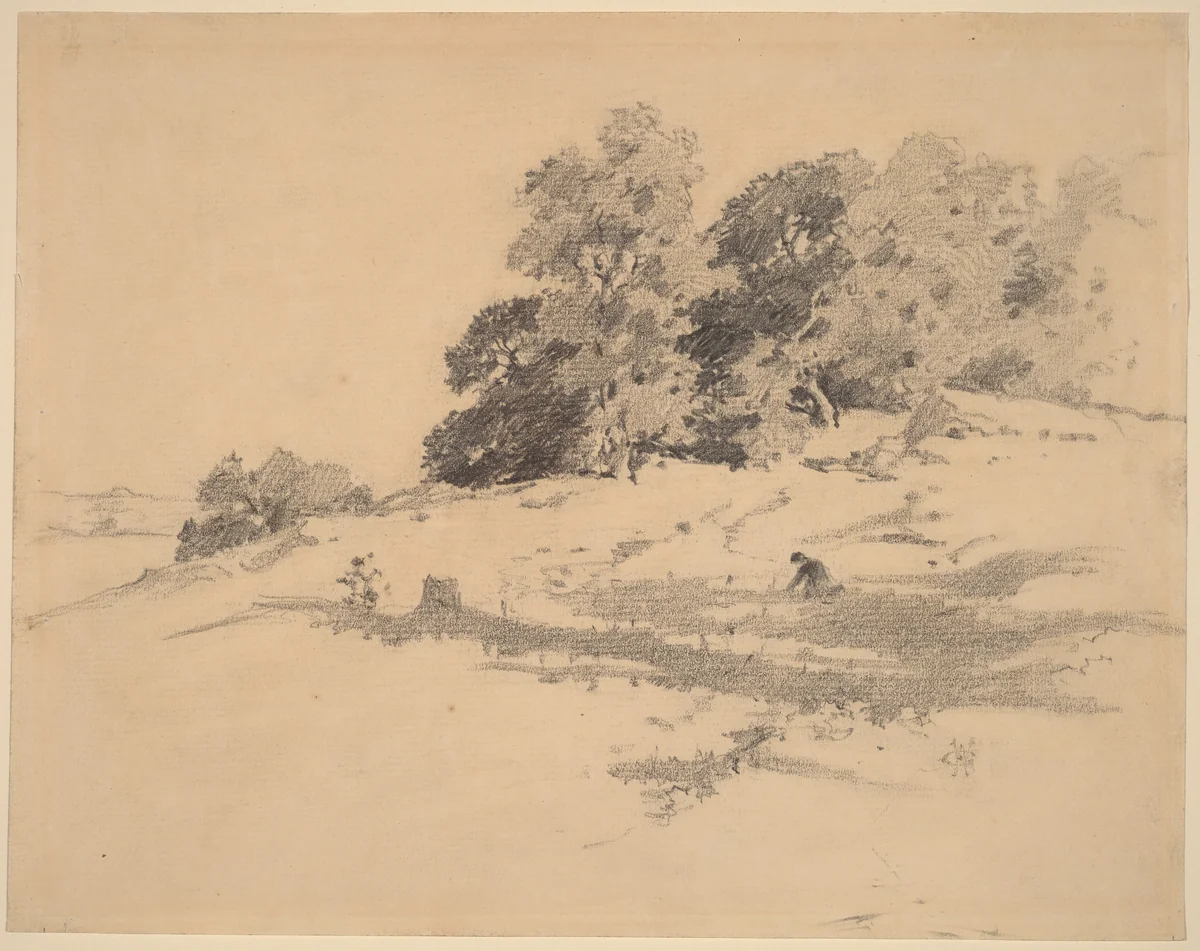 Landscape near Washington, Connecticut by William Hamilton Gibson, drawing, 1850-1896