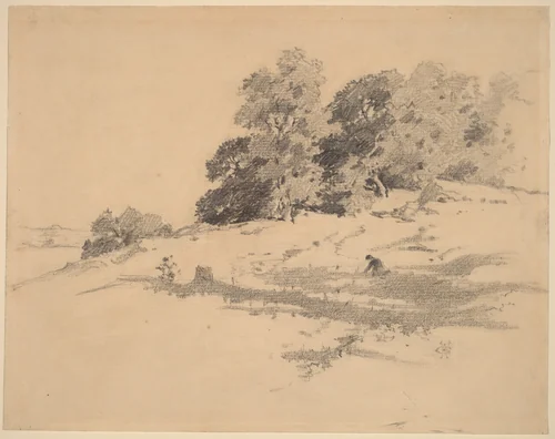 Landscape near Washington, Connecticut by William Hamilton Gibson, drawing, 1850-1896