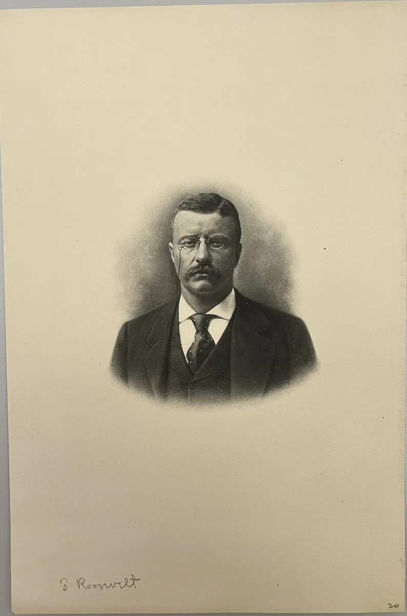 Theodore Roosevelt by Artist Unknown, other, 1800-1899