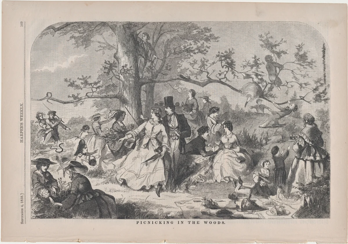 Picnicking in the Woods (from "Harper's Weekly," Vol. II) by Winslow Homer, print, 1858