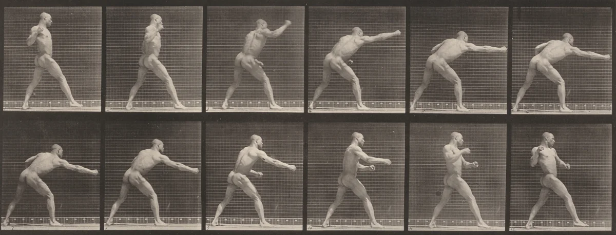 Plate Number 344. Striking a blow with right hand by Eadweard Muybridge, photograph, 1887