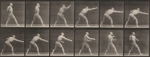 Plate Number 344. Striking a blow with right hand by Eadweard Muybridge, photograph, 1887
