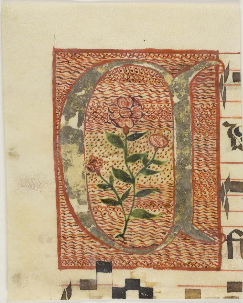 Decorated Initial "A" with Flower from a Manuscript by European, painting, 1300-1500