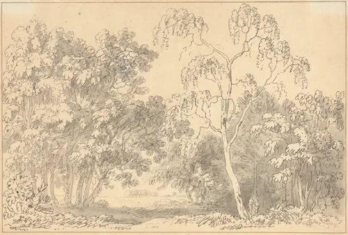 Wooded Landscape by Anthony Devis, drawing, 1729-1817