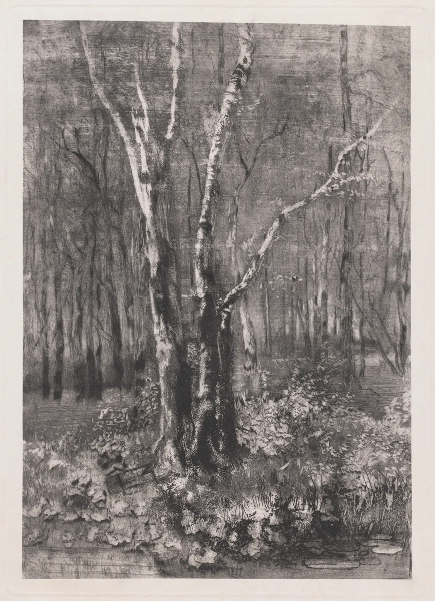 Woods in the Park near Monza by Mosè Bianchi, print, 1895