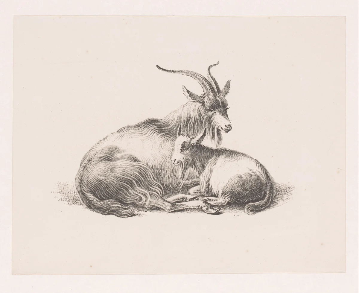 Bok en een geit by Pieter Bartholomeusz. Barbiers, print, 1809-1837