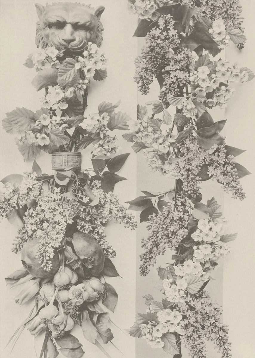 Page from Festons und Dekorative Gruppen by Unidentified Photographer, photograph, 1893