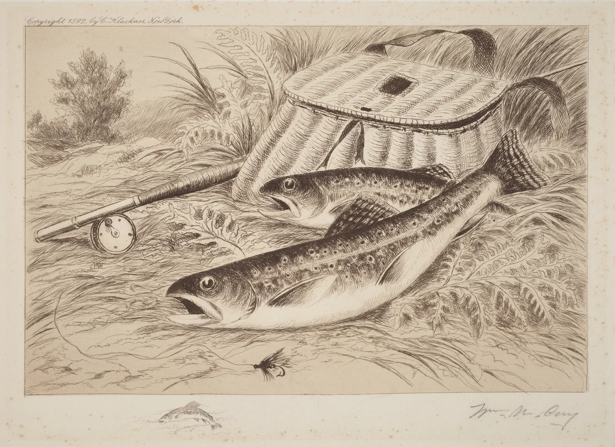 A Good Catch by William De La Montagne Cary, print, 1892