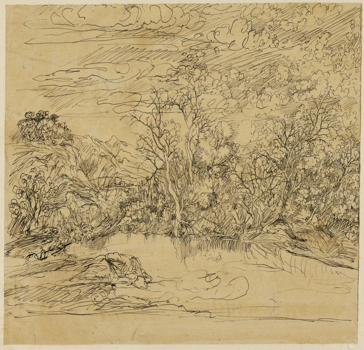 Bank of a Pond by Rodolphe Bresdin, drawing, 1845-1885