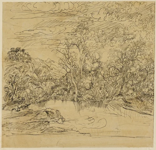 Bank of a Pond by Rodolphe Bresdin, drawing, 1845-1885