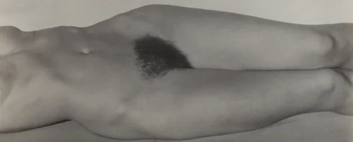 Georgia O'Keeffe—Torso by Alfred Stieglitz, photograph, 1931