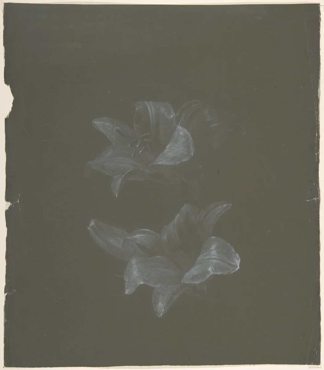 Floral Design by Antoine Berjon, drawing, 1770-1843