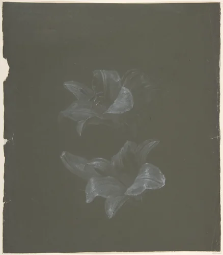 Floral Design by Antoine Berjon, drawing, 1770-1843