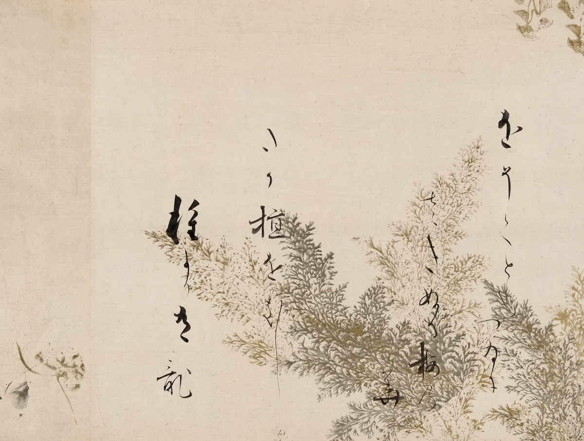 A Poem from the Shin Kokinshu with Design of Shinobugusa (Moss Fern) by Hon'ami Kōetsu (本阿弥光悦), painting, 1605-1610