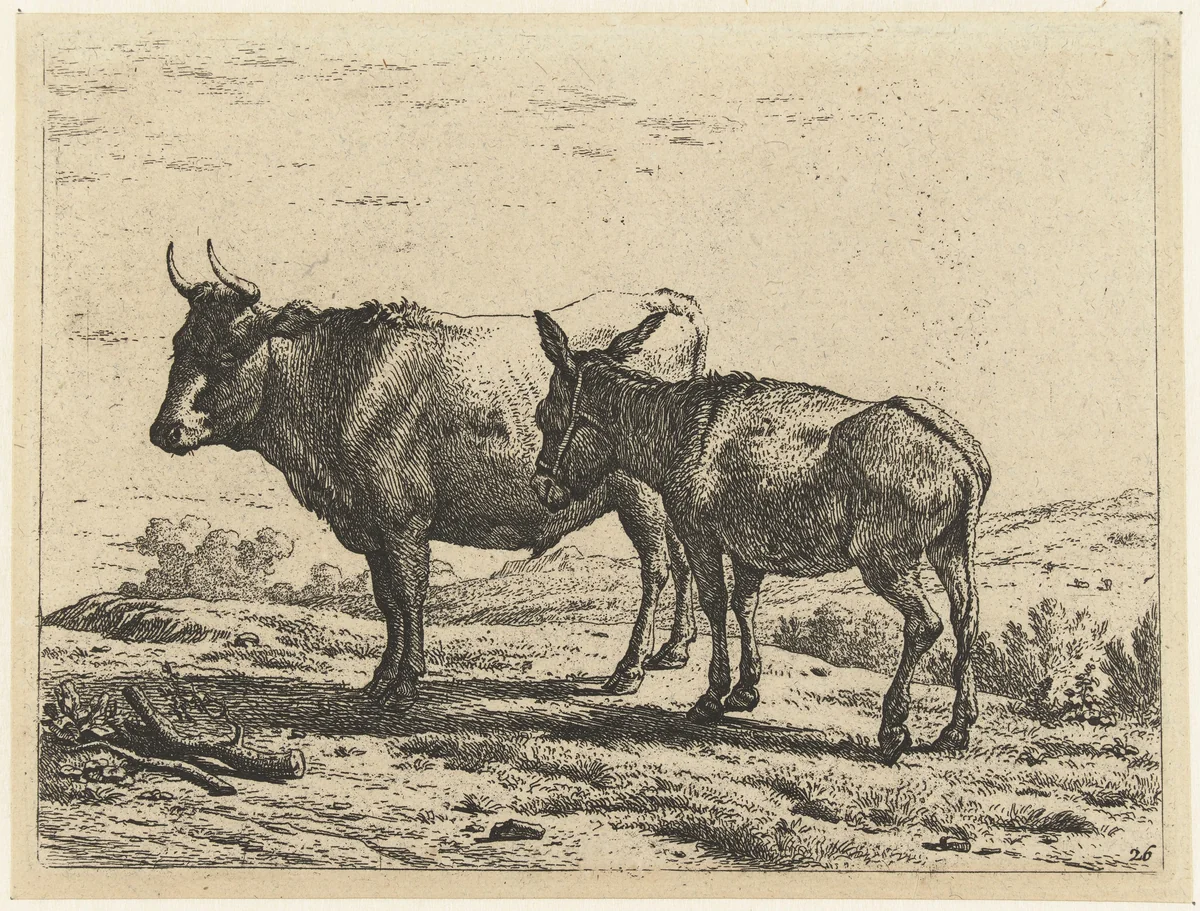 Os en een ezel by Karel du Jardin, print, 1652-1659