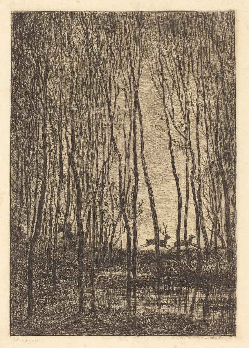 Deer in the Woods (Les Cerfs sous bois) by Charles-François Daubigny, print, 1850