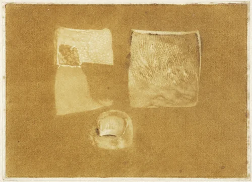 Anatomische studie van menselijke huid en nagel by Jan l' Admiral, print, 1737