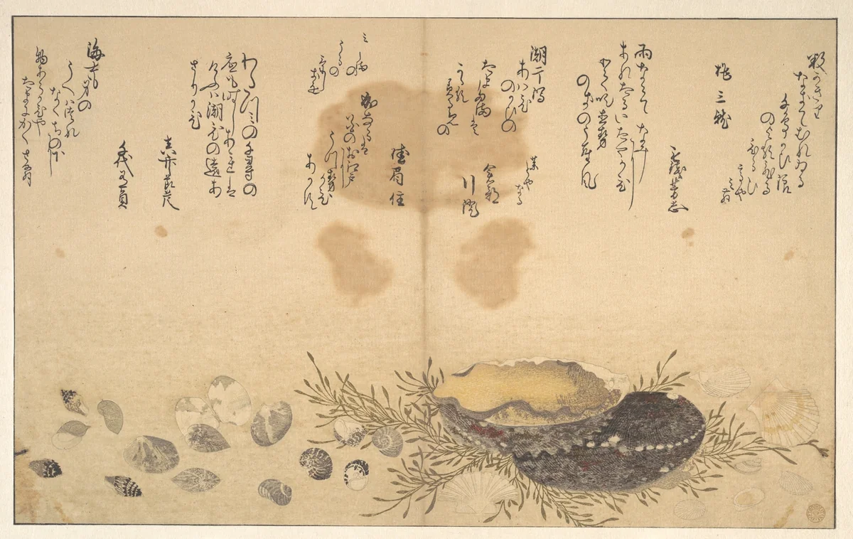 Shells Under Water by Kitagawa Utamaro (喜多川歌麿), print, 1790