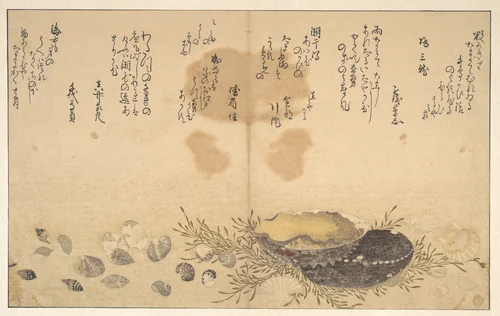 Shells Under Water by Kitagawa Utamaro (喜多川歌麿), print, 1790