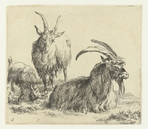 Liggende bok en geit met een bokje by Nicolaes Pietersz Berchem, print, 1648-1652