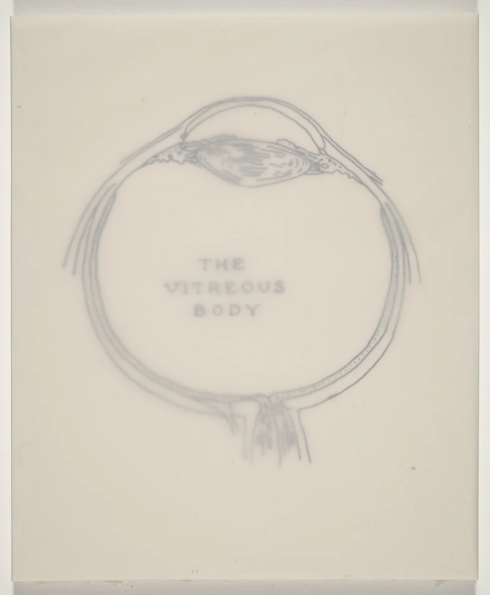 The Vitreous Body by Kiki Smith, volume, 2000