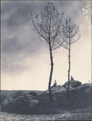 Près de la Caverne, Terrain Brûlé by Eugène Cuvelier, photograph, 1860-1865