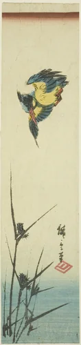 Kingfisher and reeds by Utagawa Hiroshige (歌川広重), print, 1835-1845