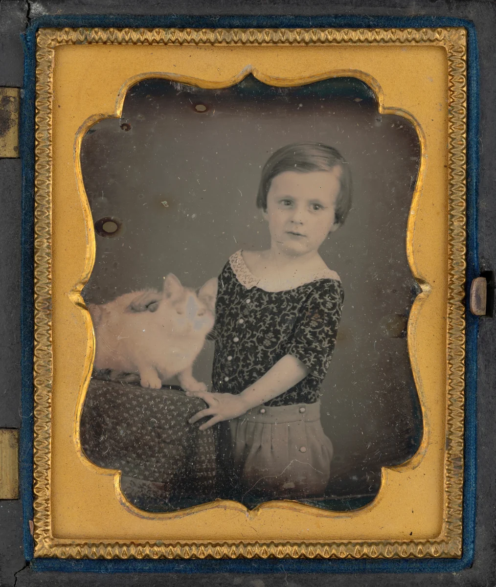 "Charles Aaron and His Cat" by American 19th Century, photograph, 1842-1853