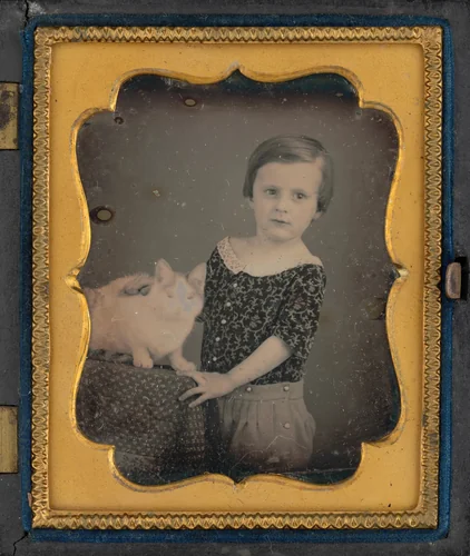 "Charles Aaron and His Cat" by American 19th Century, photograph, 1842-1853
