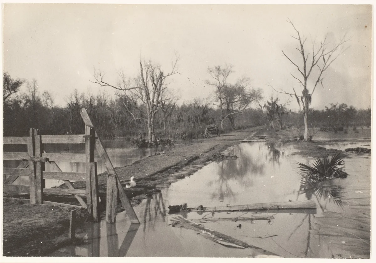 [Road Through Flooded Land] by Morgan Whitney, photograph, 1890-1909
