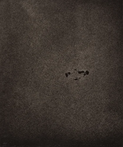 Région Centrale (Taches et Granulations), April 1, 1884, 10h 55m 23s by Jules Janssen, photograph, 1877