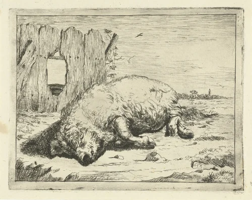 Liggend varken by Marcus de Bye, print, 1657