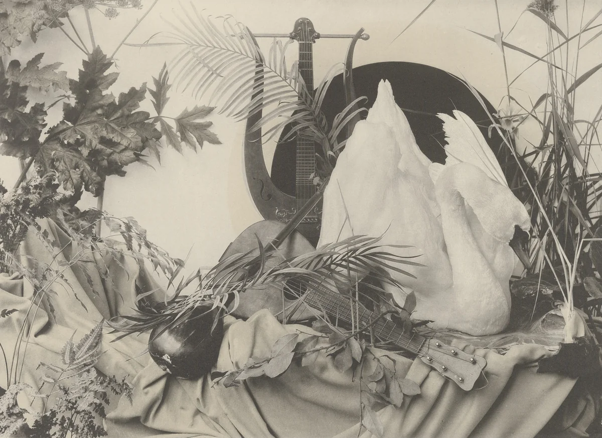 Page from Festons und Dekorative Gruppen by Unidentified Photographer, photograph, 1893