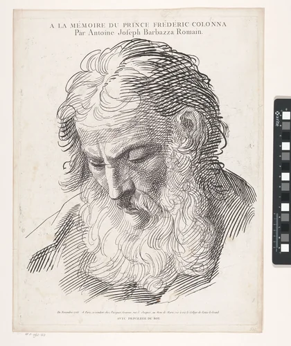 Kop van een oude man met baard by Antonio Giuseppe Barbazza, print, 1765